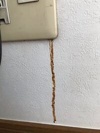 コンセント 電話線 から茶色の液体がでています これはなんですか 火事とか Yahoo 知恵袋