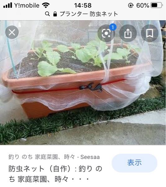 ミニ大根のプランター栽培の防虫ネットについて この秋 プランターでミ Yahoo 知恵袋