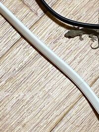 ヤモリが家の中に侵入しました 虫程では無いのですが 非常に苦手です 虫 Yahoo 知恵袋