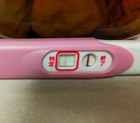 これは陽性ですか Pチェックで高温期15日目に検査しました また Yahoo 知恵袋