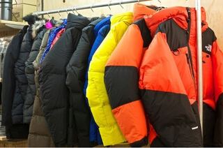磨かれた アレルギー 抜け目のない The North Face 没個性 知恵袋 Wiskersguidingservice Com