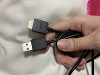 ☆急いでます!!!☆これはNintendoSwitchの純正HDMIケーブ ☆急いでます!!!☆これはNintendoSwitchの純正HDMIケーブ