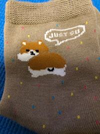 セリアで買ったこの靴下の動物ってなんだと思いますか Yahoo 知恵袋
