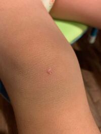 ベンチの日本チャンピオンの鈴木佑輔さんは体重６６キロで１９０キロ Yahoo 知恵袋