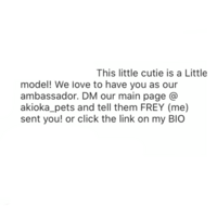 Instagramをしています フォロワー0人程度の小 Yahoo 知恵袋