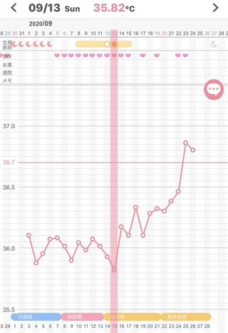 陽性 高温期何日目