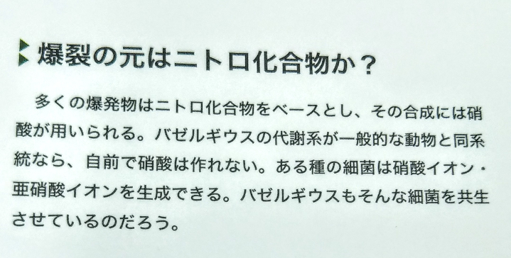 ある本にて 画像のようなバゼルギウスの情報がありました この情報でわ Yahoo 知恵袋