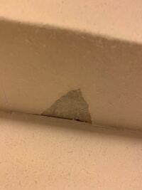 部屋の壁をペンキで塗ろうと思い壁紙を剥がしたのですが 写真のように白い薄紙 Yahoo 知恵袋