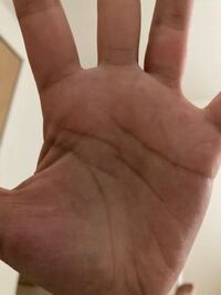 左手の手相についてです これは 頭脳線 知能線 が3本あるということ Yahoo 知恵袋