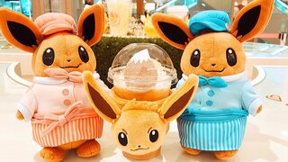 100以上 ポケモン プラチナ イーブイ ミズキ シモネタ