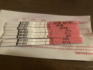 ラッキーテスト排卵検査薬について終了線と同じくらいの濃さで線が出 Yahoo 知恵袋