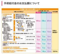 26歳 初めての妊娠で 今回6週 7週 前回生理日から数えると7 Yahoo 知恵袋