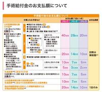 26歳 初めての妊娠で 今回6週 7週 前回生理日から数えると7 Yahoo 知恵袋