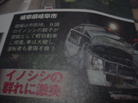 イノシシの一家が軽四に突進した結果こういう結果になったという記事ですけど Yahoo 知恵袋