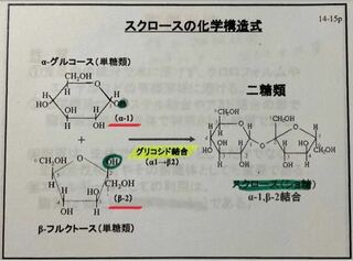糖質の化学構造式について質問です 赤線で引いてあるa 1やb 2はどう Yahoo 知恵袋