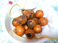 8年以上経つ柿の木が実がつかない せめて花が咲くかどうかぐ Yahoo 知恵袋