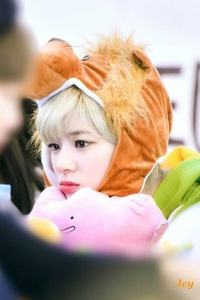 Twiceがこの着ぐるみ着てた時のイベントの名前わかる方いますか Yahoo 知恵袋
