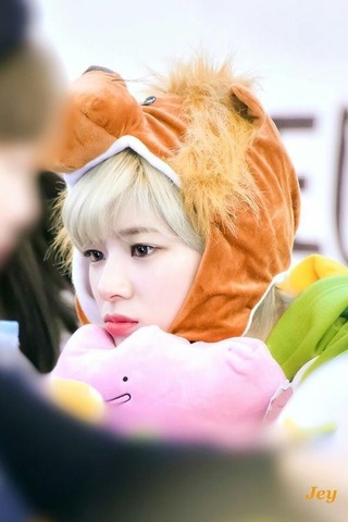 素晴らしい良い多くの ゾーン 靴下 チェヨン 着ぐるみ Hokensoudan Osaka Jp