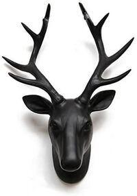 鹿の角の壁掛けを新築祝いに頂くのですが どのような意味を持って Yahoo 知恵袋