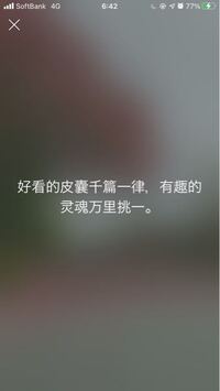 中国語 どう言う意味ですか 好看的皮囊千篇一律 有趣的灵魂万里挑一直訳 Yahoo 知恵袋