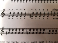ピアノの音楽記号についての質問です 写真の4分音符に斜線が二本入った音符は Yahoo 知恵袋