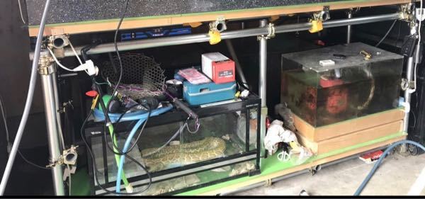 単管パイプで2400×900×600水槽の水槽台を作りたいのですが(重さは 