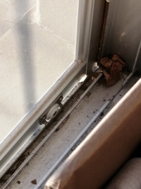 網戸が外れない上に隙間があるせいで虫が入ってきます 教えて 住まいの先生 Yahoo 不動産