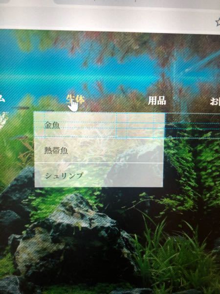 HTMLとCSSの勉強を兼ねてショッピングサイトを作っています。Webには 