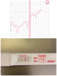 今日11 18は高温期何日目でしょうか また 11 16に妊娠検 Yahoo 知恵袋