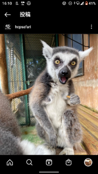 大喜利 写真で一言 Yahoo 知恵袋