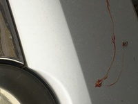車のボディーにオレンジ色の雨跡が残るのですが これは錆びでし Yahoo 知恵袋