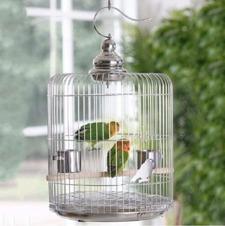 文鳥を飼おうと思っていて どうせなら鳥かごはおしゃれなものにした Yahoo 知恵袋