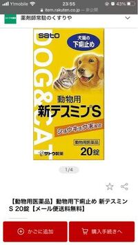 猫のお腹がずっとギュルギュル鳴っています 食欲はあります Yahoo 知恵袋