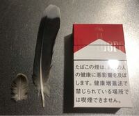 鳥の羽根の種類 写真の羽根について鳥の種類が分かる方 ご教示ください Yahoo 知恵袋