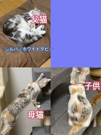 お寺の住職の呼び方についての質問です 代が変わった場合は 前の住職を前 Yahoo 知恵袋