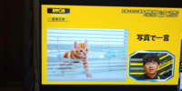 P0z9 9dpm4cnvm