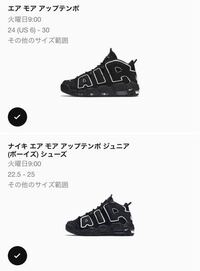こちらのnikeの靴で ジュニア と言うものがあるのですが 普通のと何か違 Yahoo 知恵袋