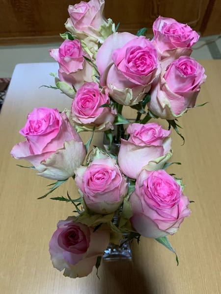 薔薇の切り花をいただきました もう少し蕾がひらいたらドライフラワーに Yahoo 知恵袋