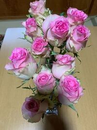 先日切り花のバラを買ってきましたが なかなか花が開きません ひ Yahoo 知恵袋