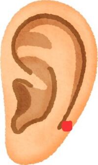 ピアスの位置についてです イラストの赤い点の部分に1個だけ Yahoo 知恵袋
