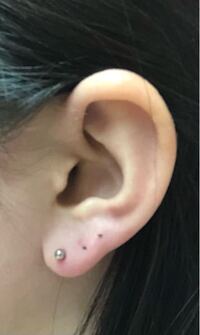 ピアスをロブ3連しようと思っているのですが この場所でいいと思います Yahoo 知恵袋