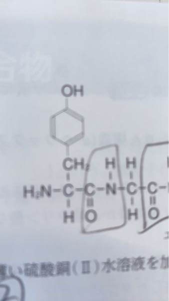 高校化学の質問です 高分子化合物の天然高分子化合物についてです キサ Yahoo 知恵袋