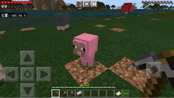 Minecraftをプレイしていたら野生ピンクの羊がいました 私 Yahoo 知恵袋