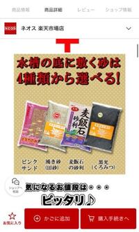 ポケモンダイヤモンド パールでフカマルはどの性格がいいですか Yahoo 知恵袋