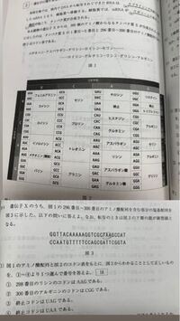 アニメイトのカードを2枚つくるとどうなりますか この間同じ名前 Yahoo 知恵袋