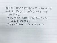 ポケモン育て屋さんのレベルはどのくらいのペースで上がるんですか Yahoo 知恵袋