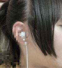 この画像って 姫毛ですか そもそも 姫毛ってなんで Yahoo 知恵袋