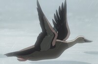 名前が 鳥 のアニメキャラクターと言えば誰を思い付きますか 鷹 Yahoo 知恵袋