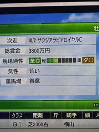 ウイニングポスト8についてまた質問です 今サクラユタカオーが4歳で Yahoo 知恵袋