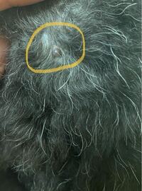 正確には覚えていないのですが大体2 3週間前くらいから写真のよう Yahoo 知恵袋